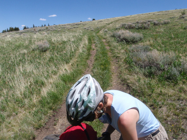 The segment uphill from Terry is about 85% to 95% slope grade.